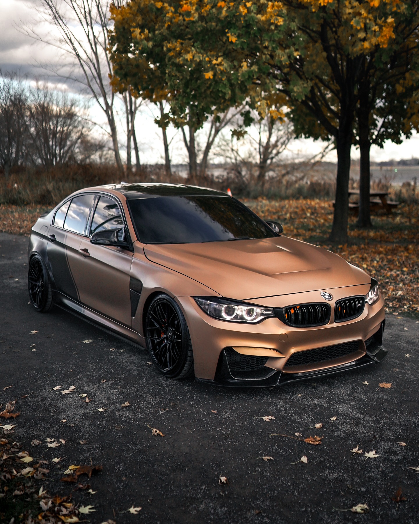 BMW M3, Satin Bronze